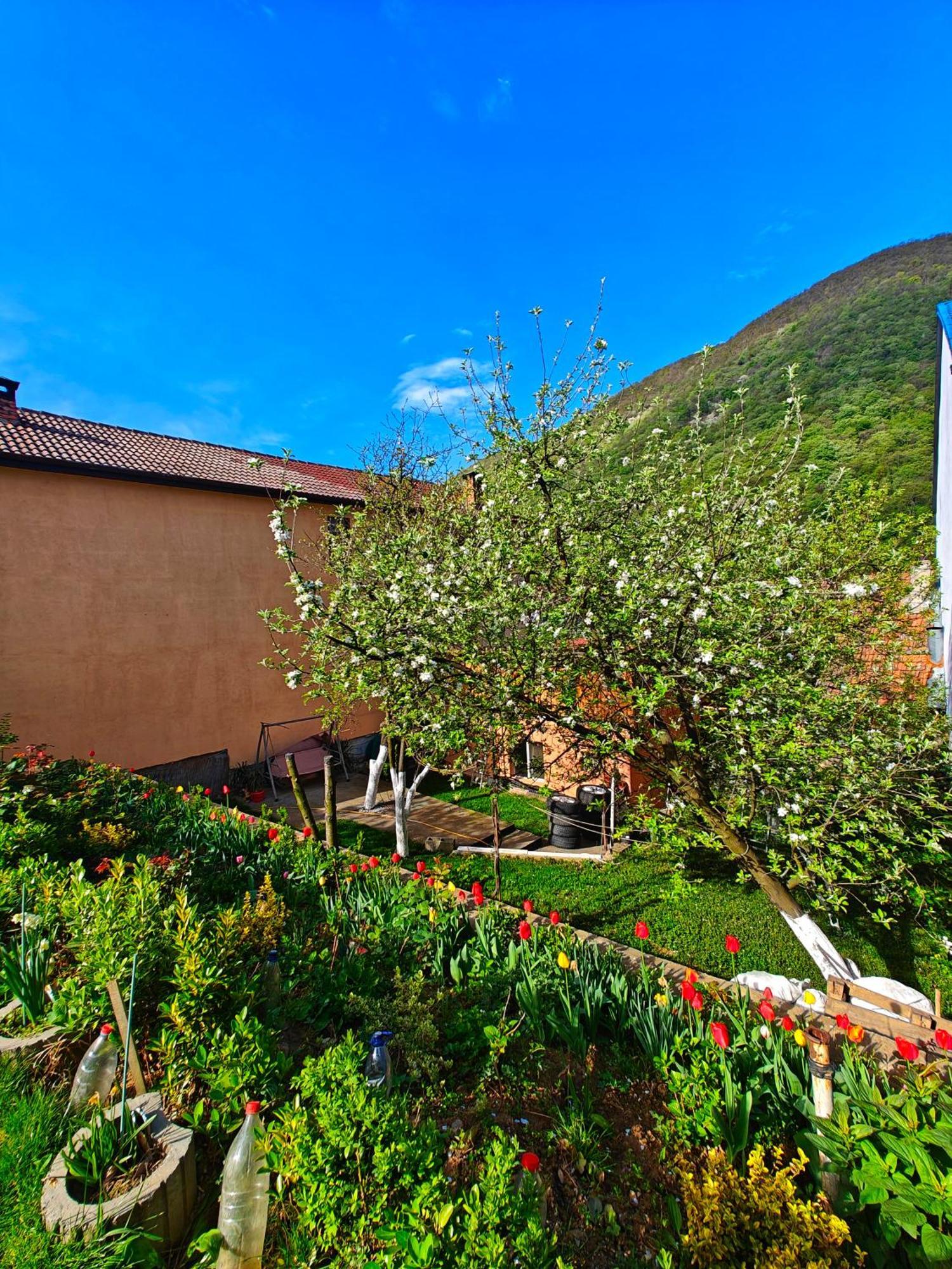Апартаменти Casa Miclau Беїле-Херкулане Екстер'єр фото