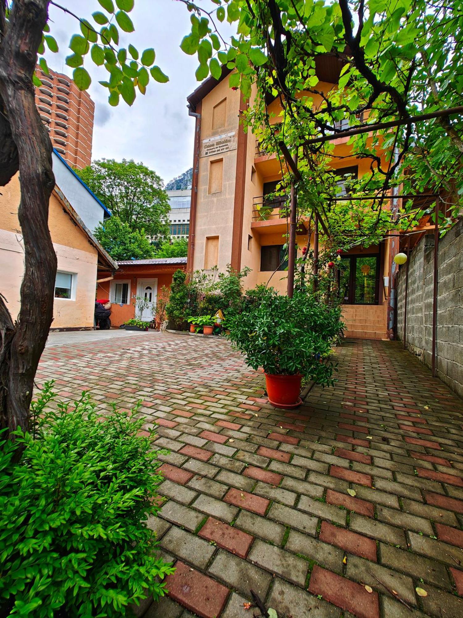 Апартаменти Casa Miclau Беїле-Херкулане Екстер'єр фото