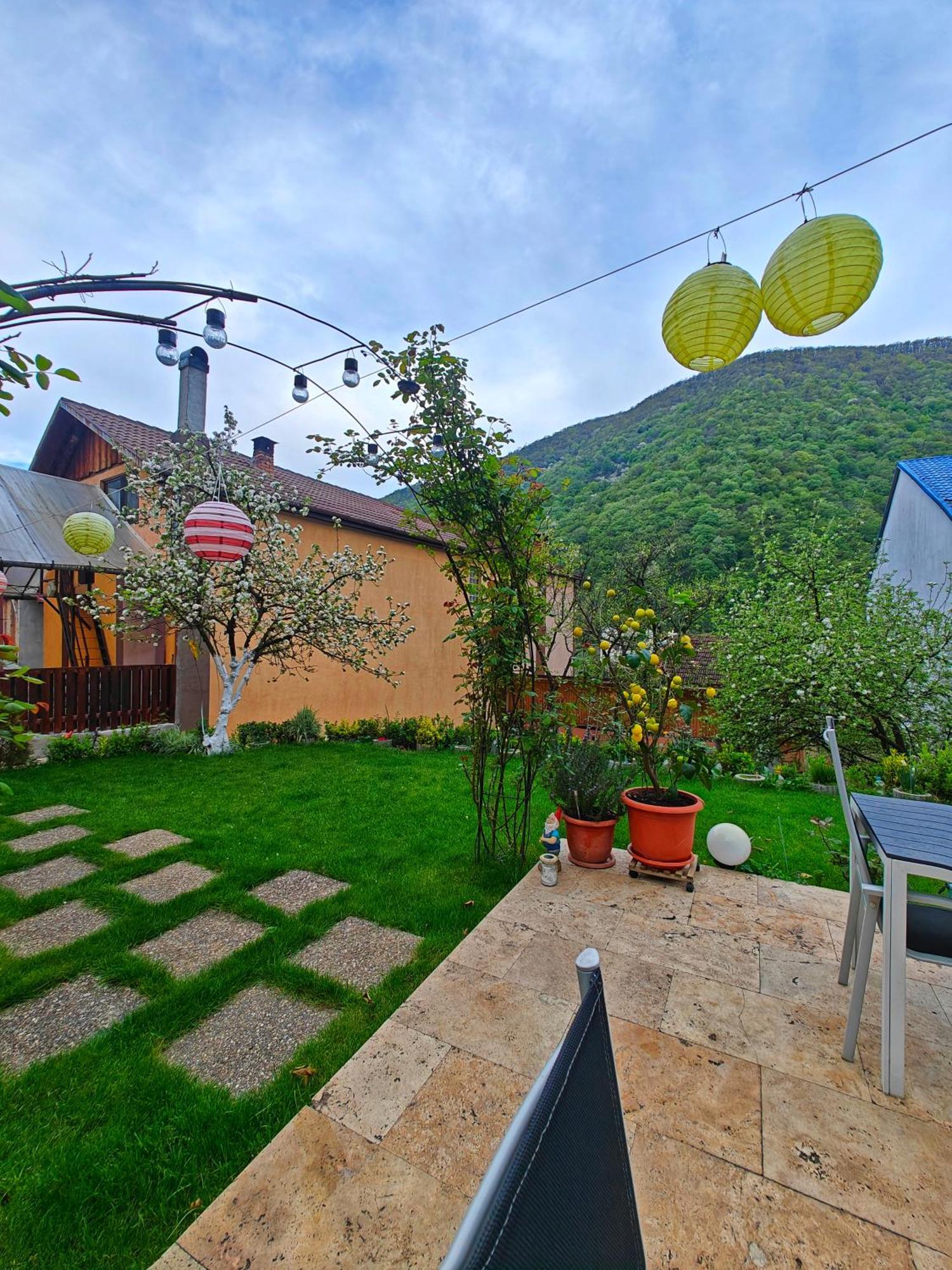 Апартаменти Casa Miclau Беїле-Херкулане Екстер'єр фото