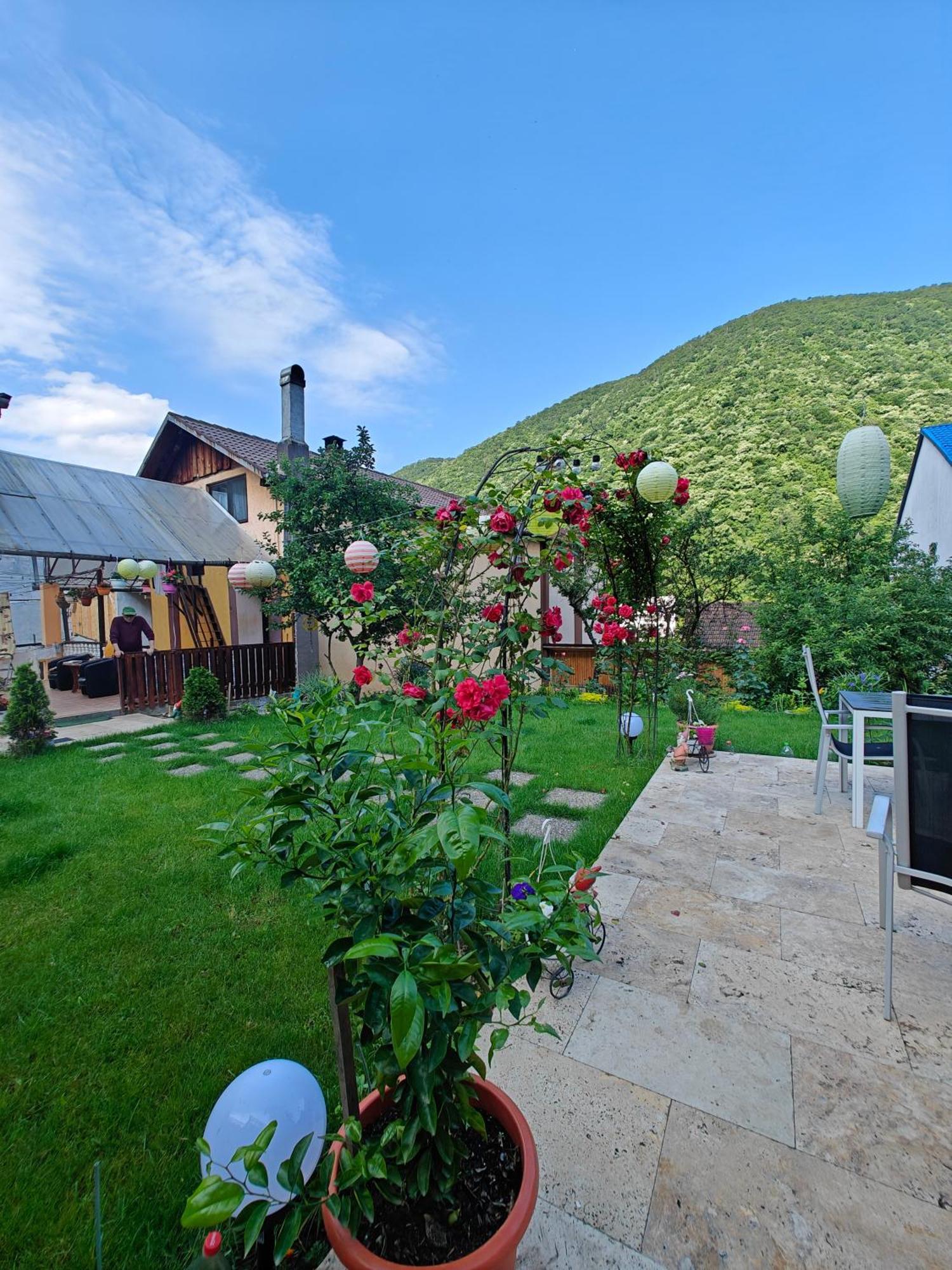 Апартаменти Casa Miclau Беїле-Херкулане Екстер'єр фото