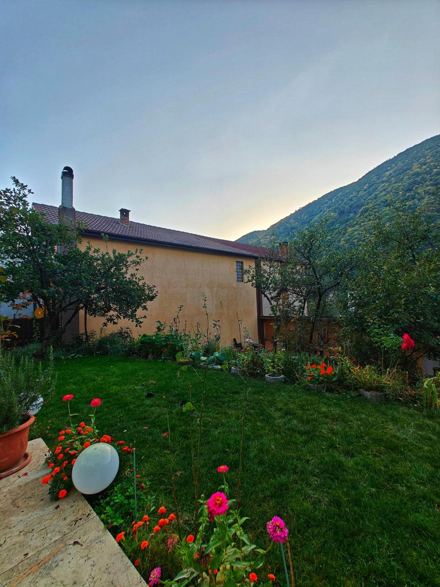 Апартаменти Casa Miclau Беїле-Херкулане Екстер'єр фото